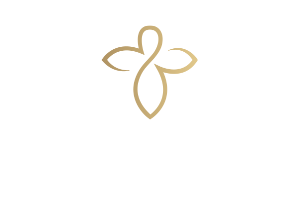 Face the World Foundation logo